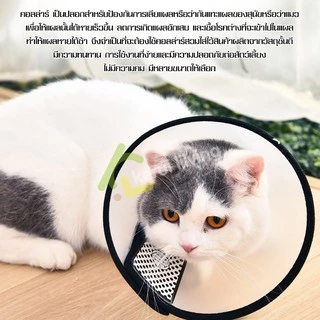 Harmcat ป้องกันการกัดการบาดเจ็บ Collar ปลอกคอสุนัข มีหลายขนาด คอลล่าPVC กันเลีย ปลอดสารพิษ ปลอกคอกันเลีย