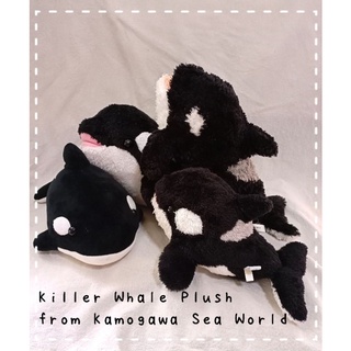 RESTOCK 📣น้องขนเรียบกลับมาแล้ว!!! ตุ๊กตาปลาวาฬ วาฬออก้า วาฬเพชฌฆาต💙 Orca whale plush