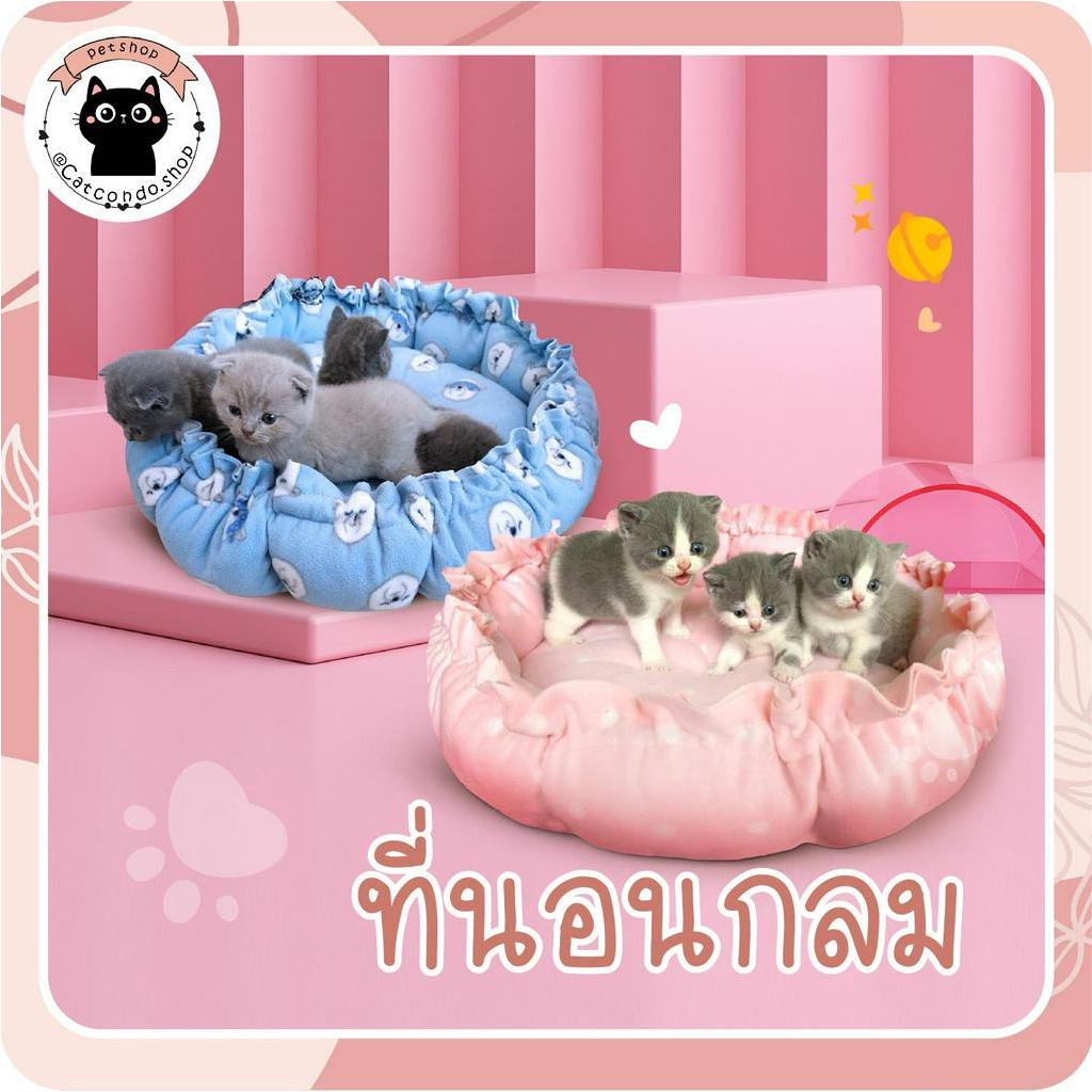 🌵 เบาะโดม ที่นอนสัตว์เลี้ยง เบาะนอนที่นอน เตียงสุนัขสัตว์เลี้ยง สำหรับสัตว์เลี้ยง เบาะนอนที่นอน เบาะนุ่ม 🌵