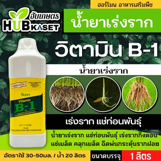 🌱 วิตามินB1(น้ำยาเร่งราก) กระตุ้นราก กิ่งตอน กระตุ้นรากฝอย ขนาดบรรจุ 1 ลิตร