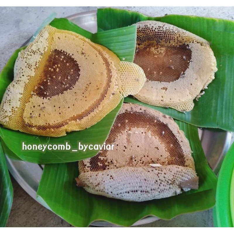 รังผึ้งจัดเซ็ทคุ้มๆ 🐝รังผึ้งป่า น้ำผึ้งป่าแท้💯% #Bycaviar - รูปที่ 2