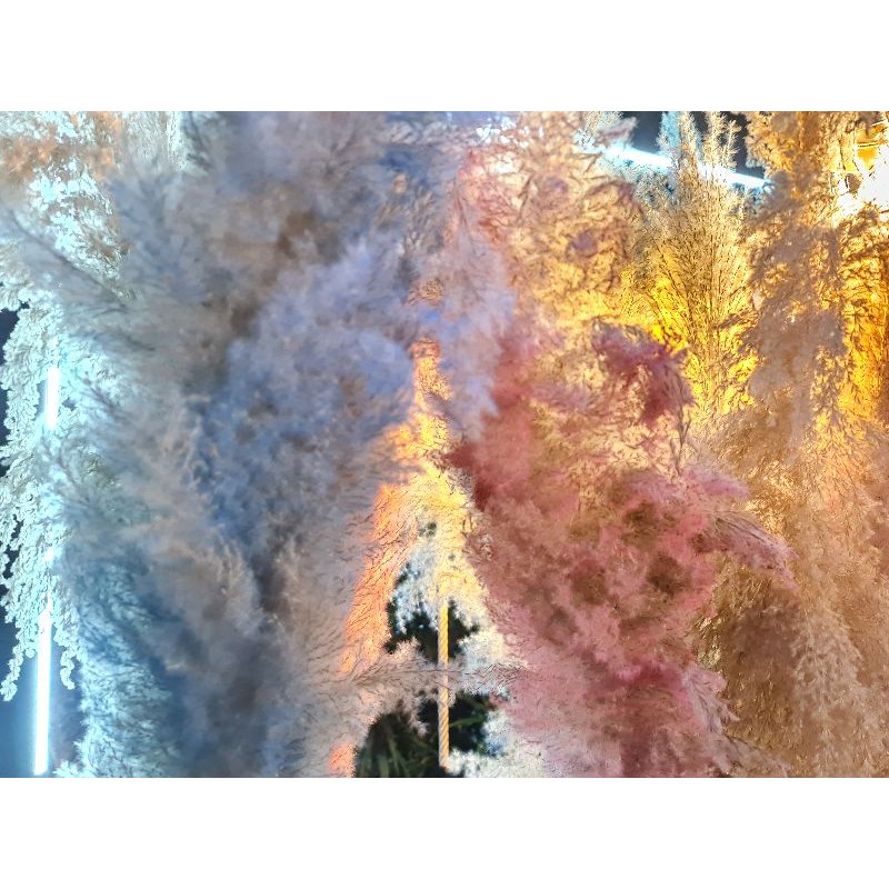 สีย้อมกก(ตราหัวม้า🐴) ย้อมผือ ย้อมหญ้า ย้อมพืช สีแต้มหมี่ (ซอง)