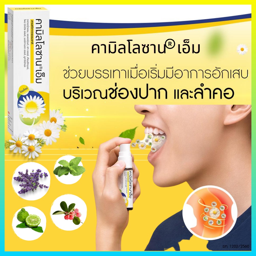 คามิโลซาน เอ็ม (Kamilosan-M) ของแท้ 100 - doctormhealth - ThaiPick