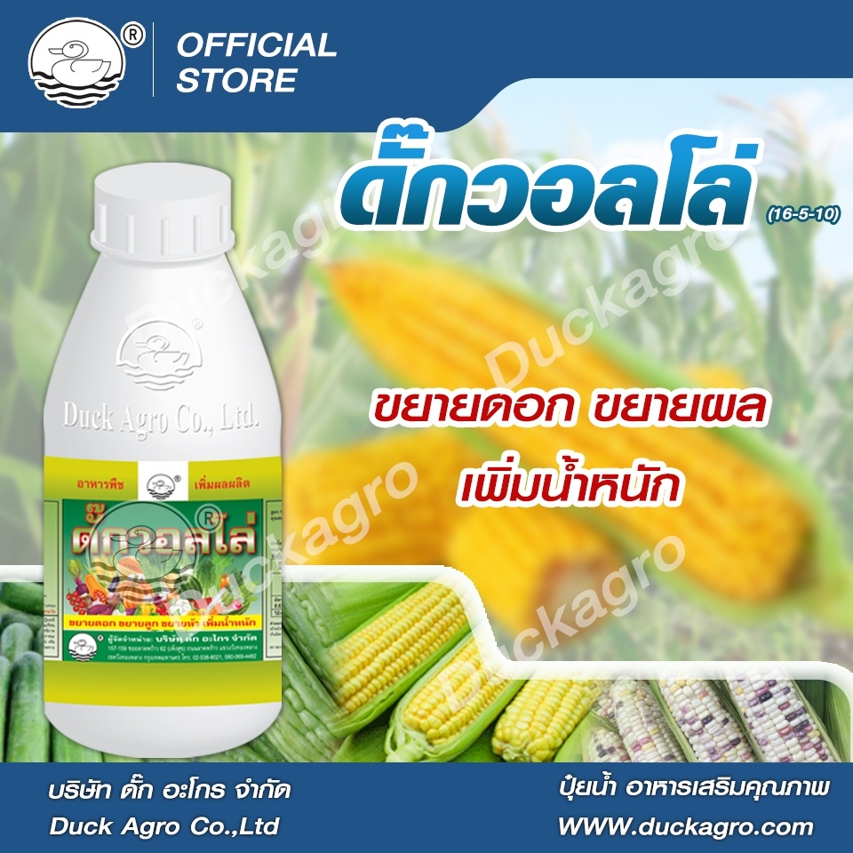 ปุ๋ยน้ำ ดั๊กวอลโล่ (15-5-10) ขยายดอก ขยายผล เพิ่มเนื้อ น้ำหนักดี ขนาด 500/1000 ซีซี