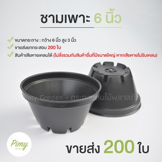 200 ใบ กระถางเพาะเมล็ด กระถางทรงเตี้ย กระถางกระบองเพชร กระถาง 6 นิ้ว ทรงชาม