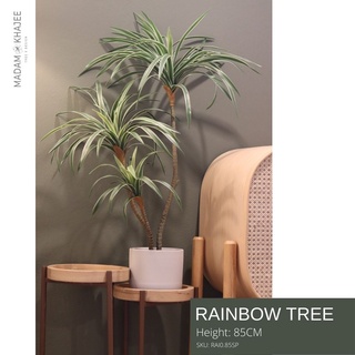 Rainbow Tree ต้นเข็ม3สี 85 - 120CM ต้นไม้ปลอมเกรดพรีเมี่ยม มาดามขจี ต้นไม้ประดิษฐ์ ตกแต่งบ้าน  Premium Artificial Plant