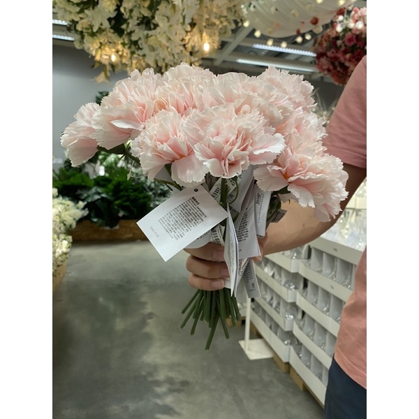 ดอกคาเนชั่น canation ✨IKEA🌈  รุ่นSMYCKA  ดอกไม้ประดิษฐ์, ดอกคาร์เนชั่น, สีขาว, สีชมพู, สีชมพูเข้ม  3