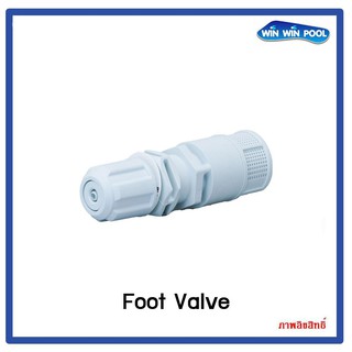 Foot valve chemicals dosing pump.PVDF-T FPM Seal ฟุตวาล์ว ปั๊มจ่ายสารเคมีสำหรับจ่าย 4x6mm.