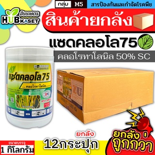 💥💥 สินค้ายกลัง 💥💥 แซดคลอโล75 1กิโลกรัม*12กระปุก (คลอโรทาโลนิล)  ป้องกันกำจัดโรคราน้ำค้างในคะน้าที่มีสาเหตุจากเชื้อรา