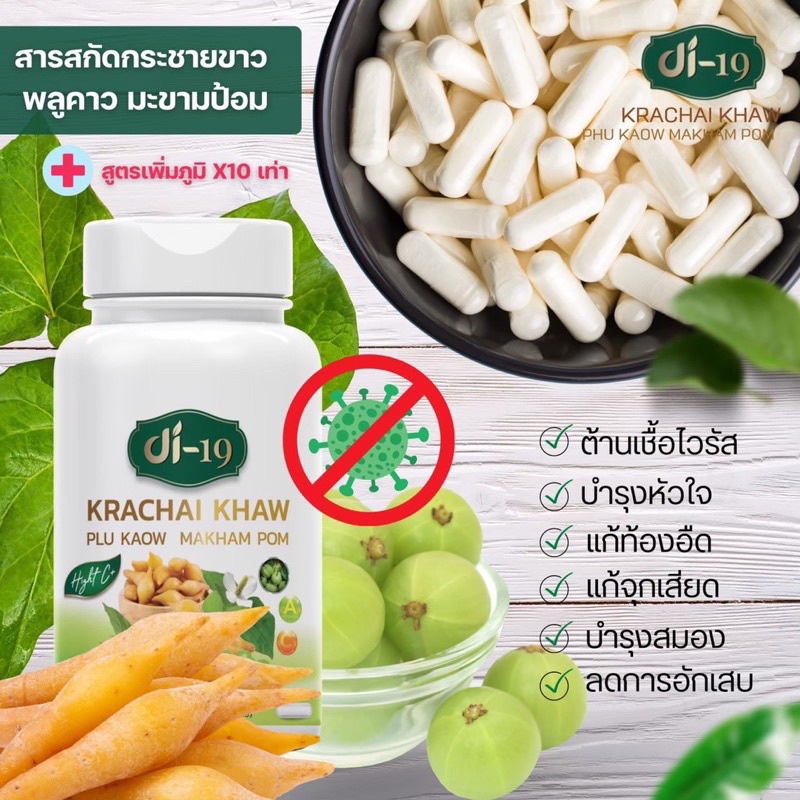 สมุนไพรและวิตามิน DI19 สารสกัดจากกระชายขาว พลูคาว มะขามป้อม