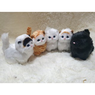 ตุ๊กตาแมวจำลอง พร้อมส่ง ตุ๊กตาแมวของเล่นเด็ก หรือตั้งโชว์