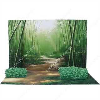 Diorama (Asia / Bamboo forest) ภาพสามมิติ (เอเชีย / ป่าไผ่)