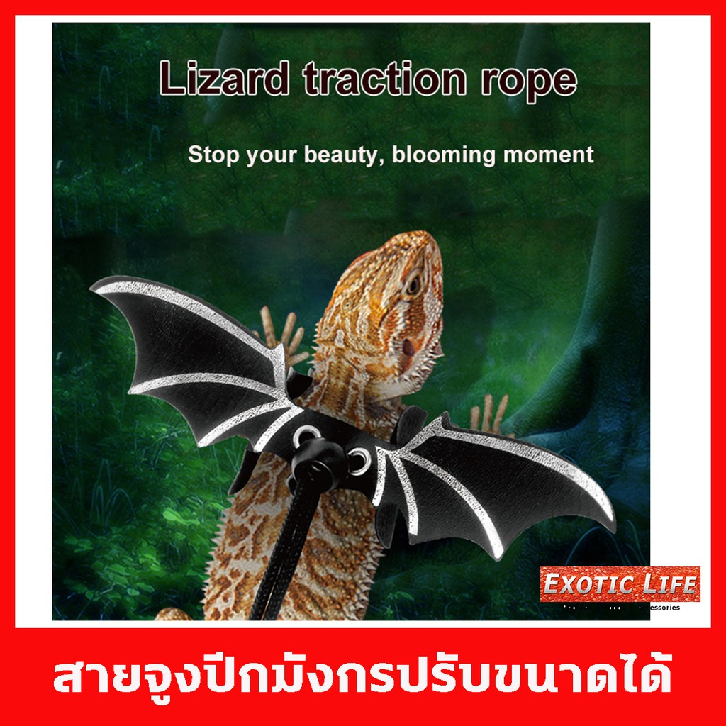 สายจูงปีกมังกร สำหรับสัตว์เลี้ยงชนิดต่างๆ ในแพ็คมีแผ่นคาดอกมาให้ 3 ขนาด เพื่อเลือกใช้ตามขนาดของสัตว์เลี้ยง