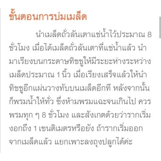เมล็ดพันธุ์ ถั่วลันเตา 10 เมล็ด