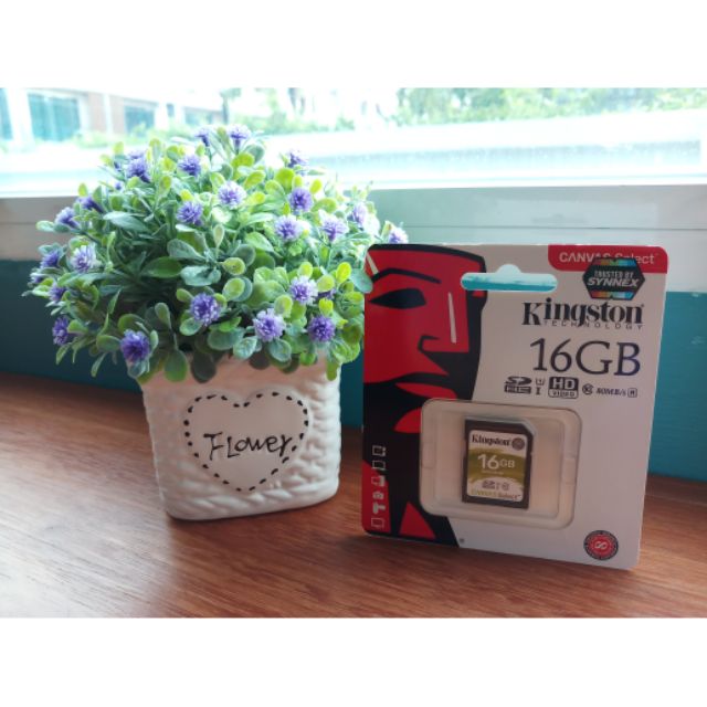 SD Card Kingston 16GB