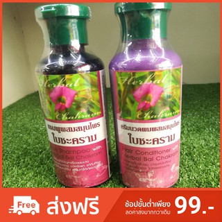 แชมพูผสมสมุนไพรใบชะคราม+ครีมนวดผสมสมุนไพรใบชะคราม 250ml. (อย่างล่ะ1)