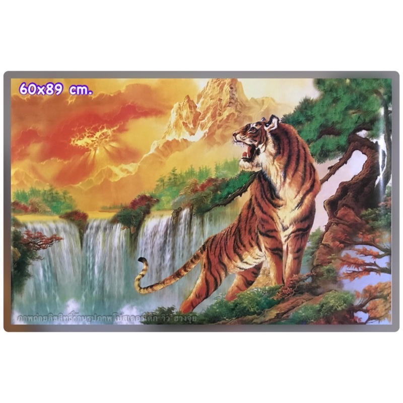 🐯🐯รูปภาพเสือ ไม่ใช่สติ๊กเกอร์ ภาพโปสเตอร์ขนาด 60*89 เซนติเมตร