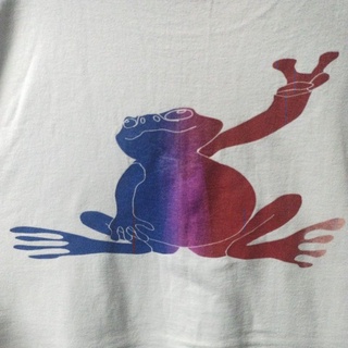 เสื้อยืดมือสอง Vintage Usa งานเก่าป้าย ONEITA 95s Size XL.อก24/ยาว29