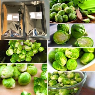 กะหล่ำดาว - Brussels Sproutsบรรจุชุดละ 135 เมล็ด 50 บ