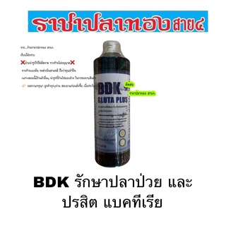 BDK รักษาปลาป่วย และปรสิต แบคทีเรีย