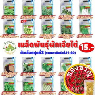 [10แถม2] เจียไต๋ เมล็ดพันธุ์ คะน้าใบ Chinese kale (Large leaf) ประมาณ 2,260 เมล็ดตราเจียไต๋  ตราเจียไต๋ เมล็ดพันธุ์ผัก เ