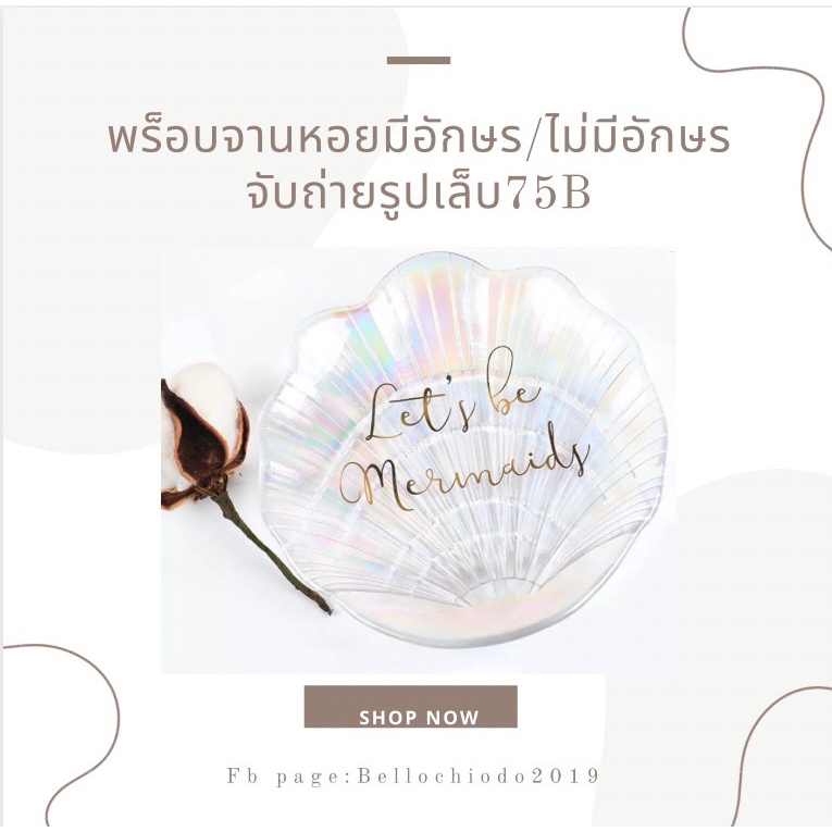 พร็อบจานหอยมีอักษร/ไม่มีอักษร คละแบบ ใช้จับถ่ายรูป