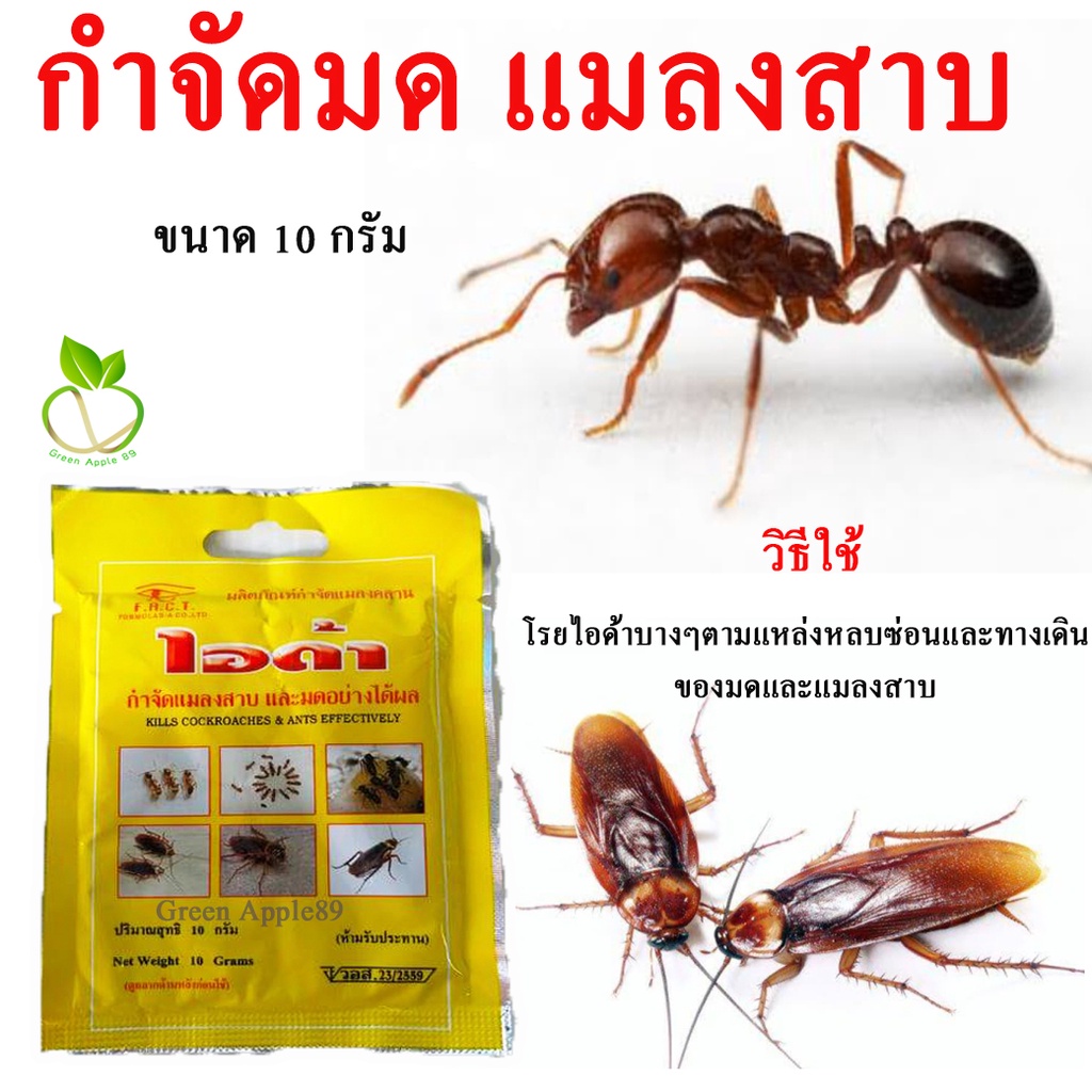 กำจัดมดแมลงสาบ ขนาด 10 กรัม กำจัดมด กำจัดมดยกรัง กำจัดมดในบ้าน กำจัดแมลงสาบ กำจัดแมลงสาปยกรัง เหยื่อกำจัดมด ซันเจี่ยฆ่าม