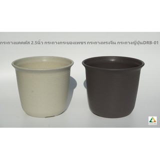 DRB-01 กระถาง 2.5 นิ้ว กระถางแคคตัส กระถางกระบองเพชร กระถางทรงจีน กระถางญี่ปุ่น กระถางพลาสติก จากร้าน กองดินสามเหลี่ยม