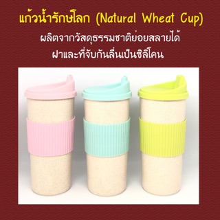 แก้วน้ำรักษ์โลก มี 3 สี