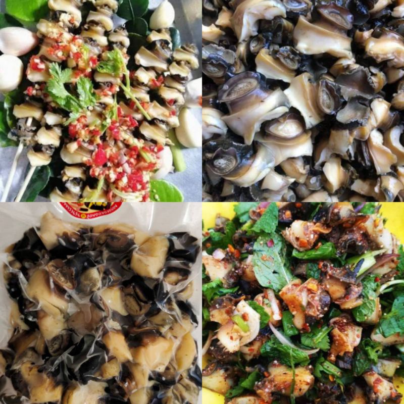 พร้อมส่ง หอยเชอรึ่ ต้มสุก ( 500 กรัม) แกะตา ตัดคอ อุ่นร้อนพร้อมทาน หอย สด ใหม่ สะอาด