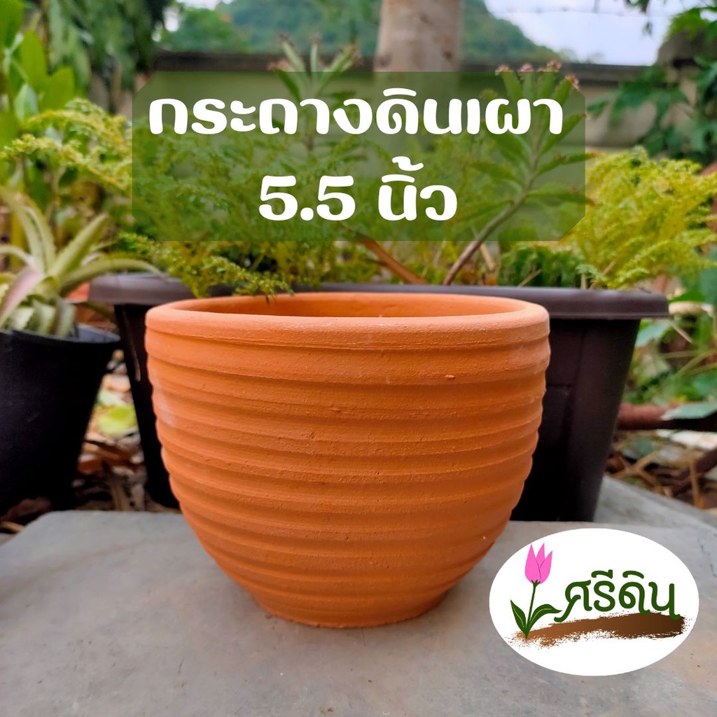 กระถางดินเผา ทรงไข่ 5.5 นิ้ว ลายขวาง กระถางต้นไม้ กระถางHandmade