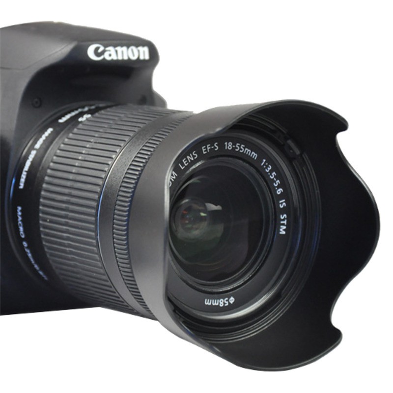 รูปภาพ 3