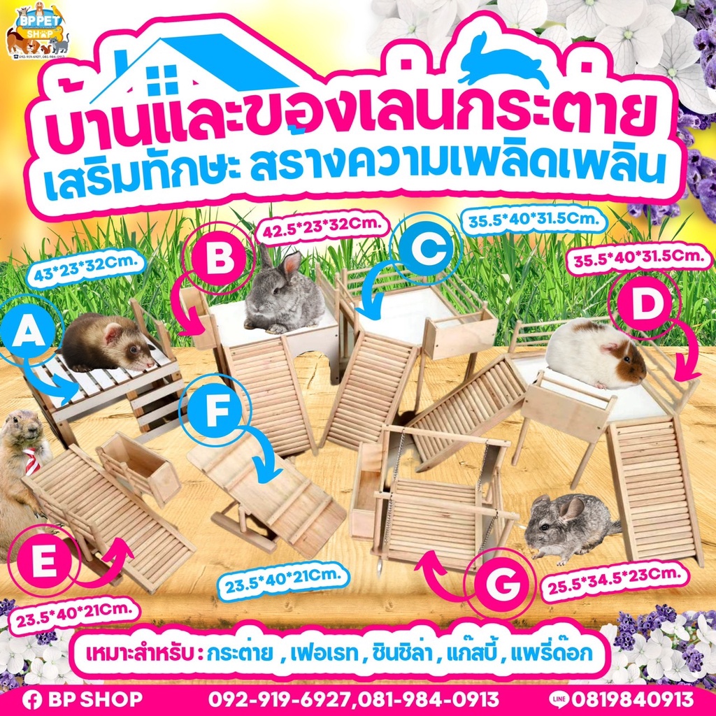 ของเล่นกระต่าย บ้านไม้กระต่าย อุปกรณ์เสริมสำหรับกระต่าย แกสบี้ ชินชิลล่า แพรี่ด็อก หลายแบบ (พร้อมส่ง)