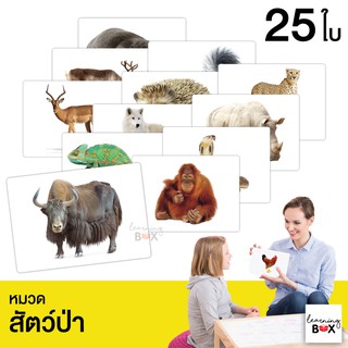 flashcard แฟลชการ์ด บัตรคำศัพท์ใหญ่ [ หมวดสัตว์ป่า Wild animal]