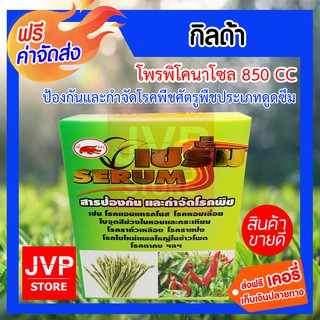 **ส่งฟรี** เซรั่ม ป้องกันและกำจัดโรคพืช โรคแอนแทรคโนส โรคหอมเลื่อย โรคใบจุดสีม่วง โรคราแป้ง โรคใบไหม้ ชุดเดียวจบ