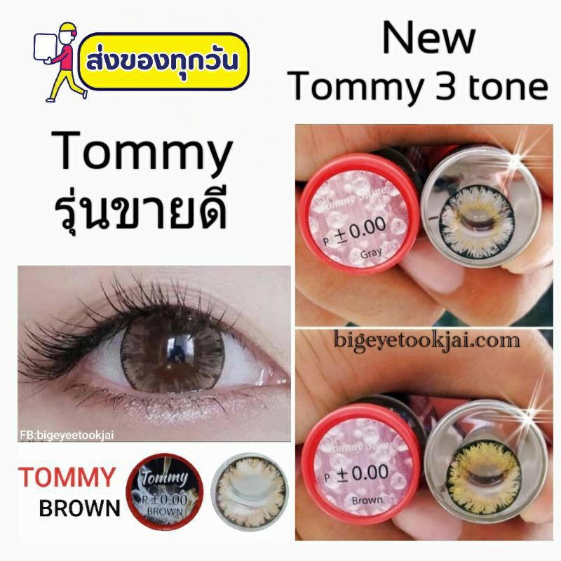 💟 Pitchylens Tommy / Tommy 3 tone จัดรุ่นที่มีพร้อมส่ง ( Chimmer Shimmer )  -00 ถึง -1000 brown gray black คอนแทคเลนส์.