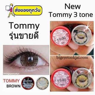 💟 Pitchylens ๑ Tommy / Tommy * 3 tone ระบุรุ่นถามก่อน สายตา -00 ถึง -1000 brown gray Contactlens บิ๊กอาย คอนแทคเลนส์