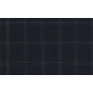 In Demand Fine &amp; Dandy/59500 Col.2 Luiciano Brand Jacketing Fabrics Check Pattern 595035