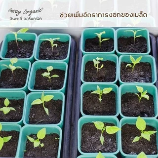 น้ำหมักปลาทะเล INSAY กระตุ้นดอก ช่วยการเจริญเติบโต ใช้บำรุงพืชผักทุกชนิด 250 มล.