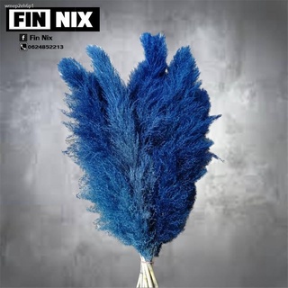 ✒▣❃FINNIX ดอกเลา : สีน้ำเงินเข้ม ดอกไทยมีของพร้อมส่ง