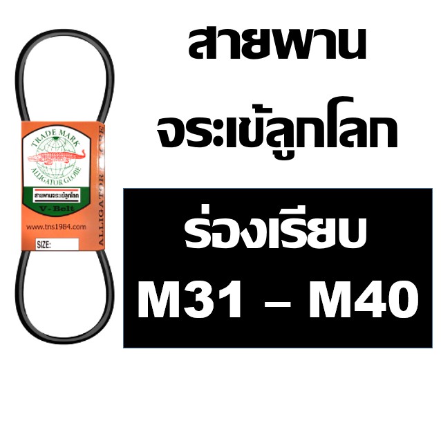 จระเข้ลูกโลก สายพาน ร่อง M ร่องเรียบ M31 M32 M33 M33.5 M34 M35 M36 M37 M38 M39 M40 สายพานเครื่องซักผ