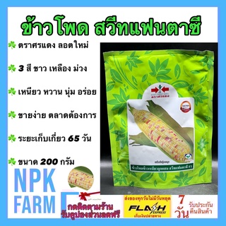 ข้าวโพด สวีทแฟนตาซี ขนาด 200 กรัม หมดอายุ03/09/2567ข้าวโพดหวาน ศรแดง มี 3สี ขาว เหลือง ม่วง รสชาติเหนียว นุ่ม อร่อย