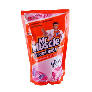 น้ำยาทำความสะอาดพื้น MR.MUSCLE AxI 800 มล. กลิ่นฟลอรัลเพอร์เฟ็คชั่นส์ ขจัดคราบหมดจดง่ายดาย