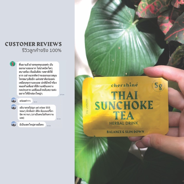 Chershine Thai Sunchoke tea Valued Pack (15 sachets) - chershine ...