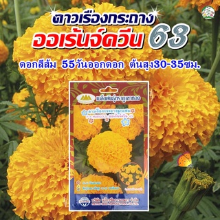 เมล็ดดอกดาวเรืองกระถาง ออเร้นจ์ควีน63 (F-1 Marigold) ตราภูเขาทอง เมล็ดพันธุ์ดอกดาวเรือง เมล็ดดอกดาวเรือง เมล็ดดอกไม้