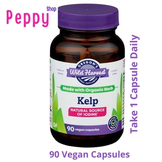 Oregons Wild Harvest Kelp 90 Vegan Capsules สารสกัดสาหร่ายเคลป์