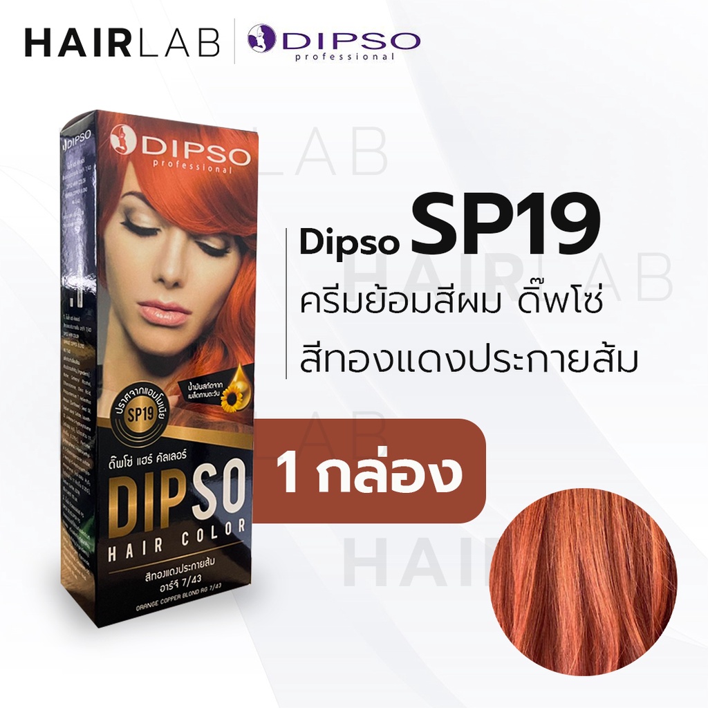 พร้อมส่ง Dipso Hair Color ครีมเปลี่ยนสีผม ดิ๊พโซ่ Sp19 สีทองแดงประกายส้ม  ไร้แอมโมเนีย ไร้กลิ่น ปิดผมขาว ยาย้อมผม สีผม | Shopee Thailand