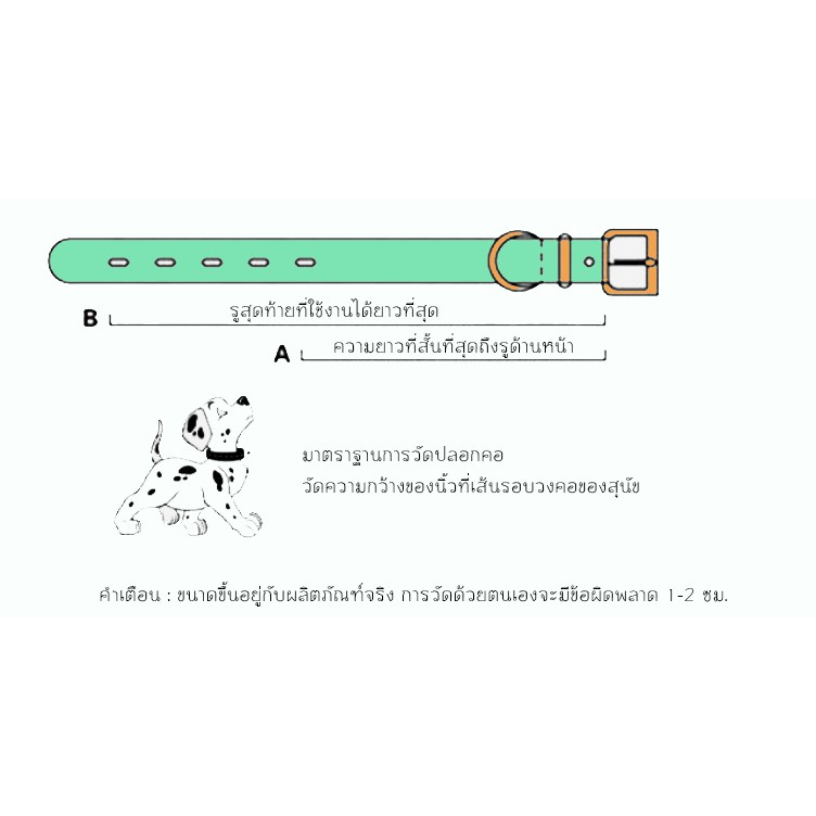 รูปภาพ 4