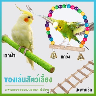 ของเล่นนกแก้วขนาดเล็กถึงขนาดกลาง