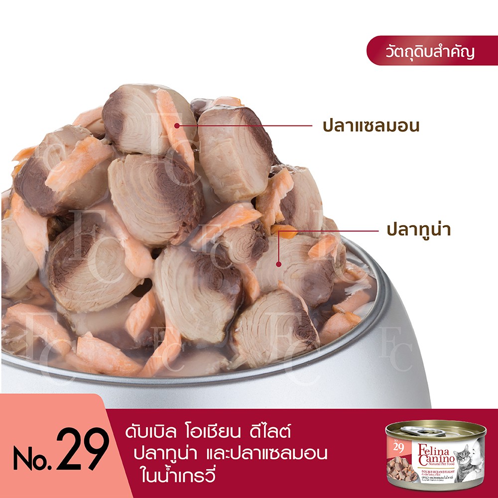 Felina Canino (อาหารสำหรับแมว) : NO.29 Double Ocean Delight (ปลาทูน่า ปลาแซลมอนและน้ำเกรวี่) 70g. แพค 12 กระป๋อง